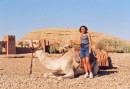 09 - Avec un chameau a Ait-Benhaddou * 1710 x 1176 * (370KB)